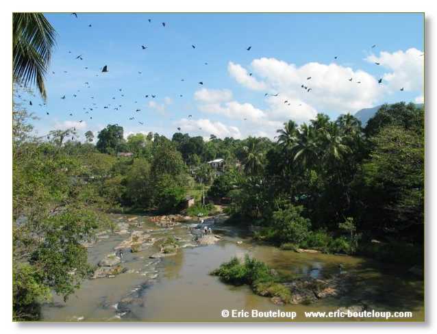 097_Sri_Lanka_2003_03