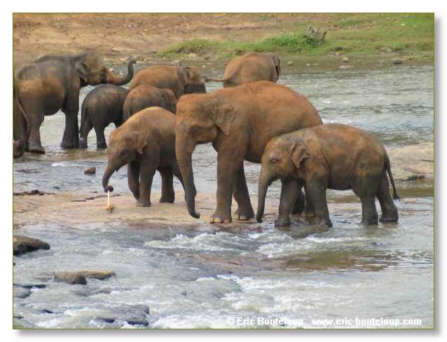 099_Sri_Lanka_2003_03