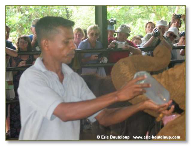 106_Sri_Lanka_2003_03