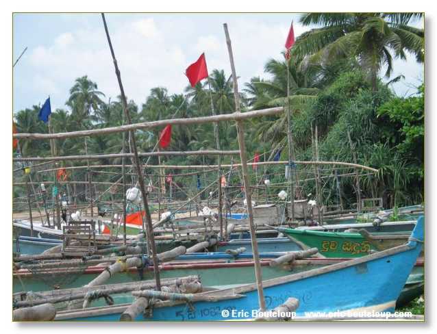 114_Sri_Lanka_2003_03