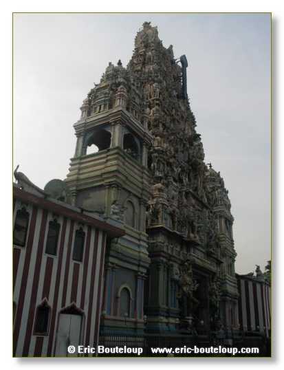 134_Sri_Lanka_2003_03