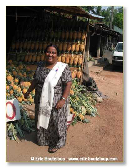 137_Sri_Lanka_2003_03