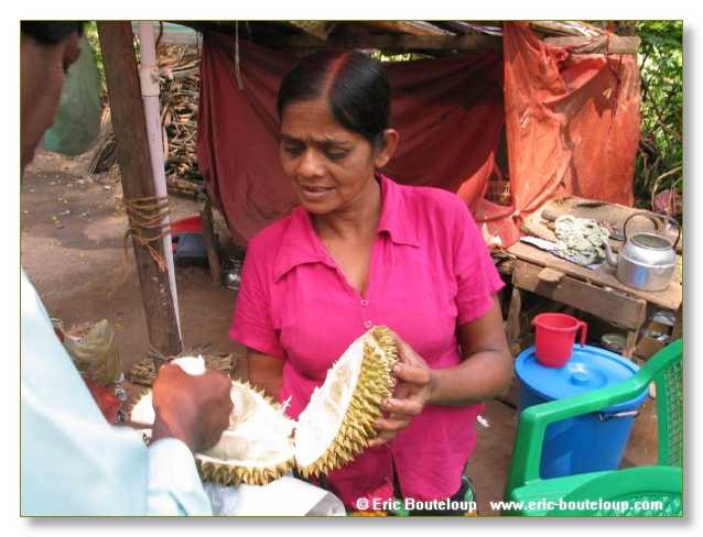 138_Sri_Lanka_2003_03