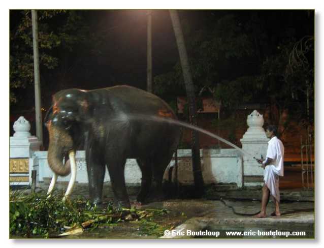 177_Sri_Lanka_2003_03