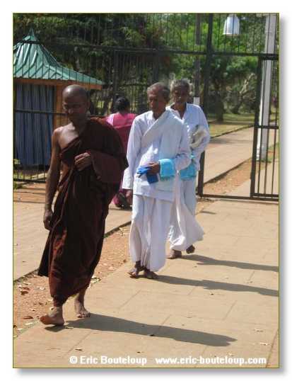 203_Sri_Lanka_2003_03