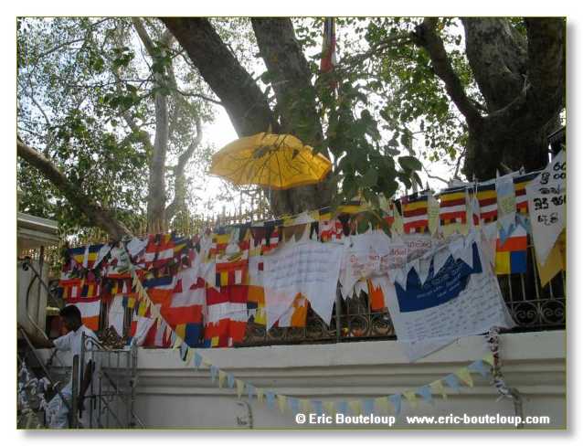 207_Sri_Lanka_2003_03