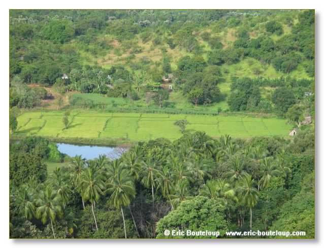 254_Sri_Lanka_2003_03