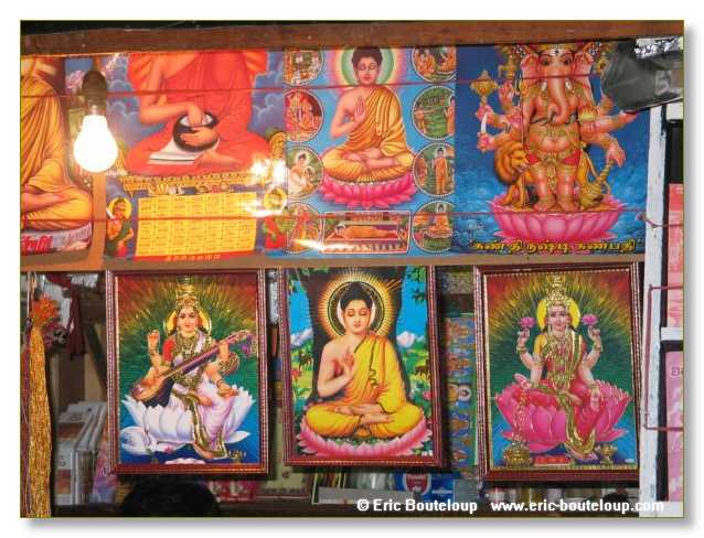 278_Sri_Lanka_2003_03