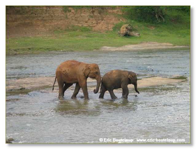 293_Sri_Lanka_2003_03