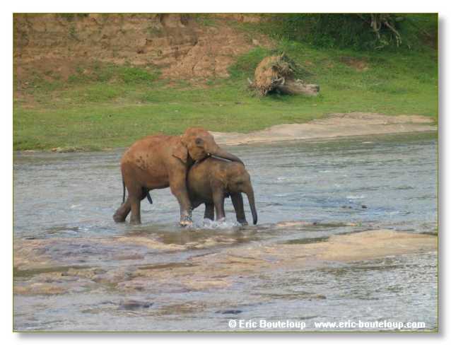 295_Sri_Lanka_2003_03