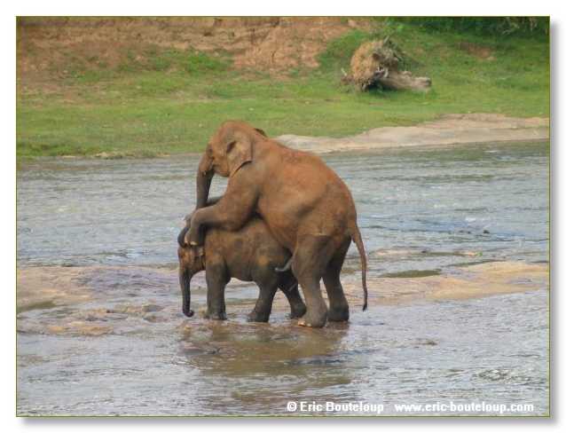 297_Sri_Lanka_2003_03