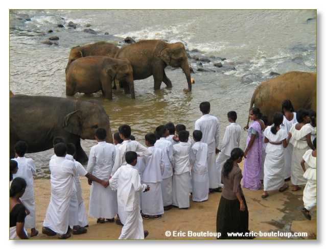 302_Sri_Lanka_2003_03