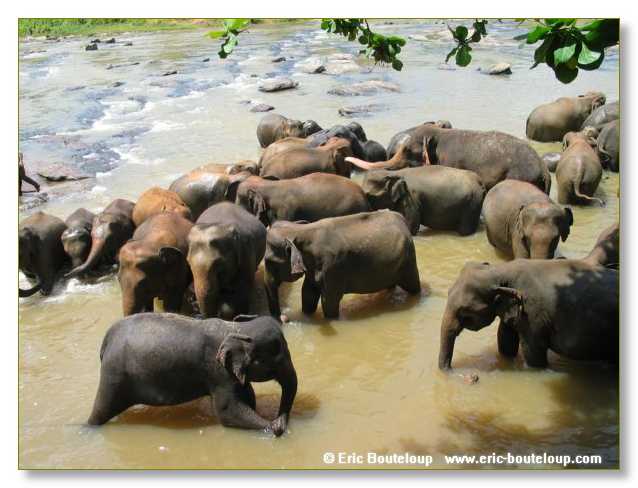 303_Sri_Lanka_2003_03