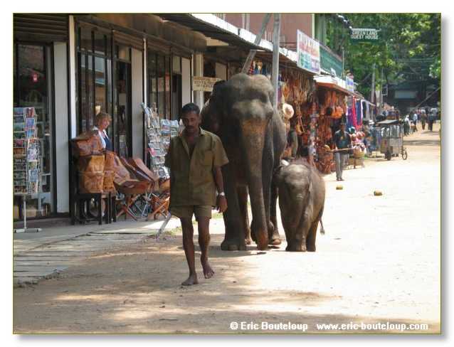 306_Sri_Lanka_2003_03