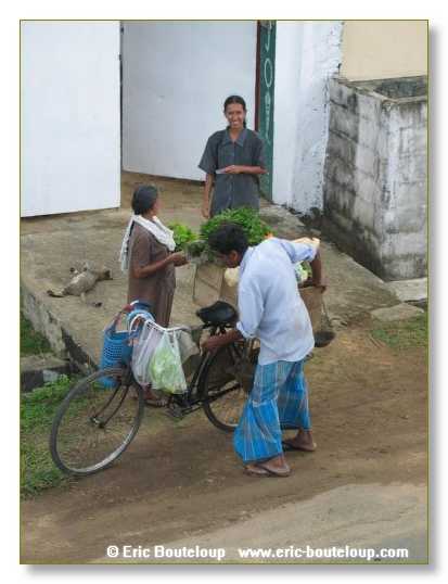 318_Sri_Lanka_2003_03