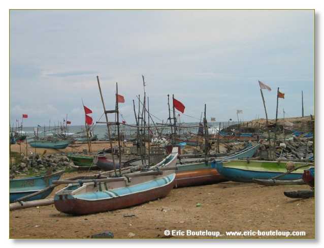 331_Sri_Lanka_2003_03