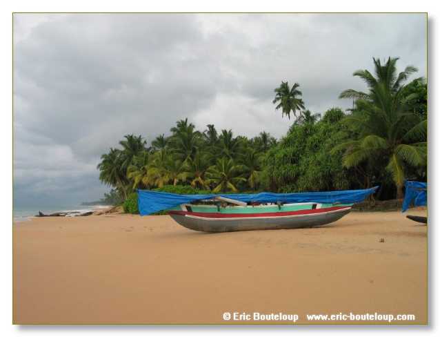 336_Sri_Lanka_2003_03