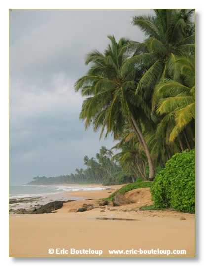 337_Sri_Lanka_2003_03