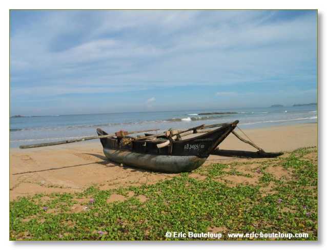 341_Sri_Lanka_2003_03