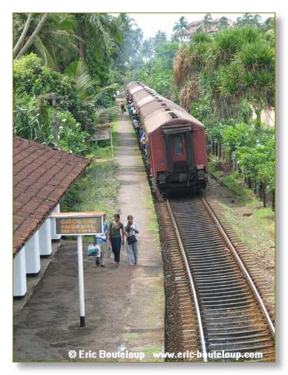 353_Sri_Lanka_2003_03