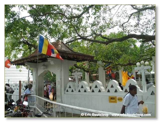 361_Sri_Lanka_2003_03