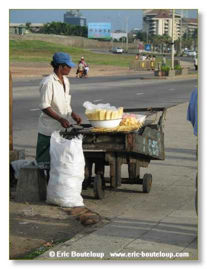 378_Sri_Lanka_2003_03