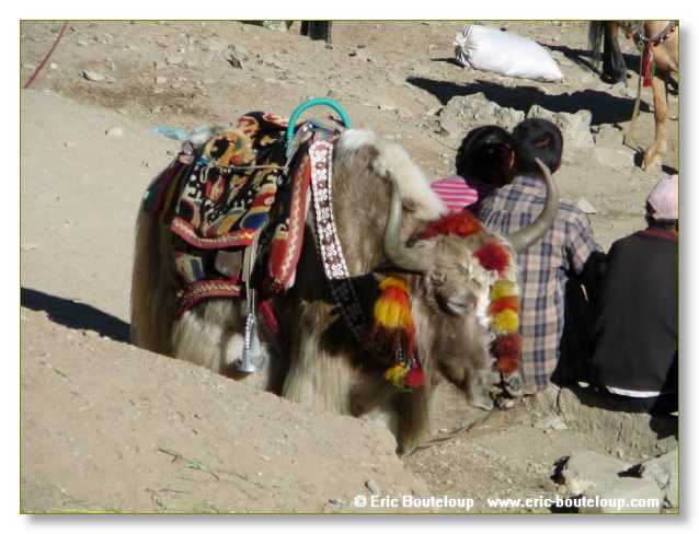 016_TIBET_2006