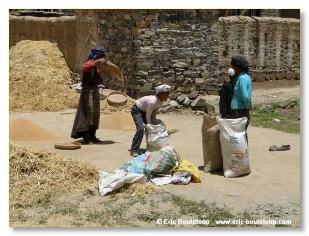 045_TIBET_2006