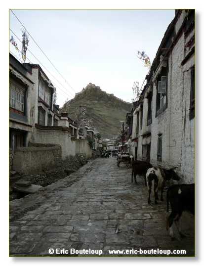 134_TIBET_2006