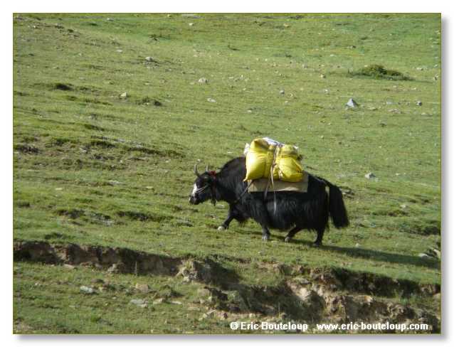 402_TIBET_2006